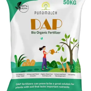DAP Fertilizer (50kg)
